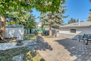 Photo 38: 2806 12 Avenue SE in Calgary: Albert Park/Radisson Heights Detached for sale : MLS®# A2081305