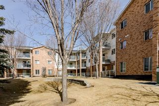 Photo 6: 427 165 Manora Place NE in Calgary: Marlborough Park Apartment for sale : MLS®# A1196284