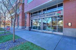 Photo 8: 1033 Regal Crescent NE in Calgary: Renfrew Semi Detached (Half Duplex) for sale : MLS®# A2132414