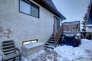 Photo 31: 33 Erickson Drive: Red Deer Detached for sale : MLS®# A2012908