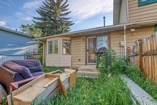 Photo 38: 205 Pineset Place NE in Calgary: Pineridge Semi Detached (Half Duplex) for sale : MLS®# A2052172