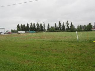 Photo 9: 4819 57 Ave: Eckville Industrial Land for sale : MLS®# A1193687