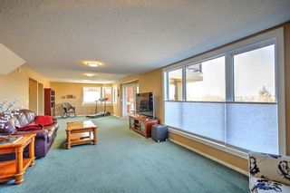 Photo 33: 319 Mt Sparrowhawk Place SE in Calgary: McKenzie Lake Detached for sale : MLS®# A1218013