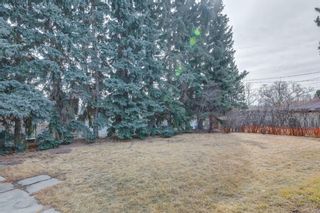 Photo 36: 81 Carmangay Crescent NW in Calgary: Collingwood Detached for sale : MLS®# A1195999