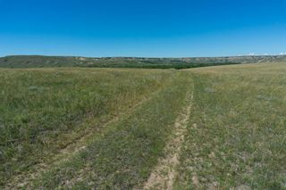 Photo 30: 224A Township Road: Bindloss Agriculture for sale : MLS®# A1203778