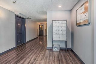 Photo 33: 206 15207 1 Street SE in Calgary: Midnapore Apartment for sale : MLS®# A2110234