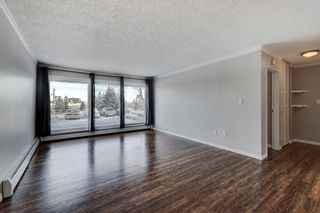 Photo 2: 117 816 89 Avenue SW in Calgary: Haysboro Apartment for sale : MLS®# A2022209