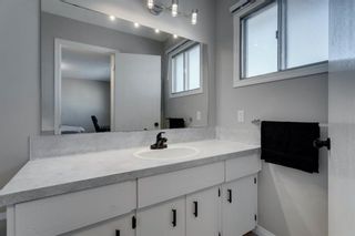 Photo 27: 3812 49 Street NE in Calgary: Whitehorn Detached for sale : MLS®# A1054455