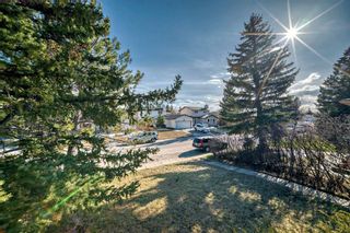 Photo 12: 3224 108 Avenue SW in Calgary: Cedarbrae Detached for sale : MLS®# A2124475
