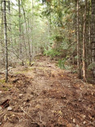 Photo 36: 7788 Trans Canada Highway in Revelstoke: Vacant Land for sale : MLS®# 10273662