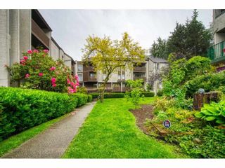 Photo 2: 402 340 GINGER Drive in New Westminster: Fraserview NW Condo for sale in "FRASER MEWS" : MLS®# R2599521