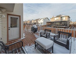 Photo 23: 289 West Lakeview Drive: Chestermere House for sale : MLS®# C4092730