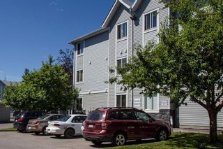 Photo 23: 301 3301 Valleyview Park SE in Calgary: Dover Apartment for sale : MLS®# A1191824