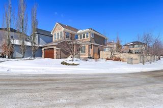 Photo 43: 155 Springbluff Heights SW in Calgary: Springbank Hill Detached for sale : MLS®# A2031782