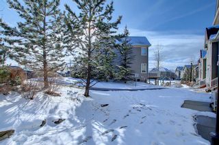 Photo 41: 204 CASCADES Passage: Chestermere Row/Townhouse for sale : MLS®# A1189058