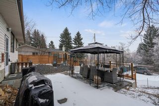 Photo 43: 6530 Silver Springs Way NW in Calgary: Silver Springs Detached for sale : MLS®# A1188916