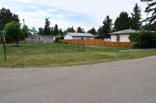 Photo 2: 236 1 Street E: Duchess Residential Land for sale : MLS®# A2103323