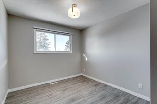 Photo 28: 3812 49 Street NE in Calgary: Whitehorn Detached for sale : MLS®# A1054455
