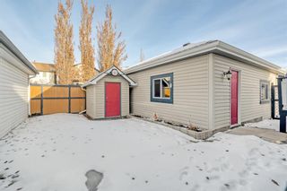 Photo 43: 202 Copperfield Gardens SE in Calgary: Copperfield Detached for sale : MLS®# A2020077