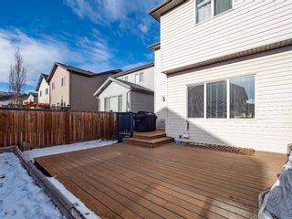 Photo 45: 31 Chaparral Valley Common SE in Calgary: Chaparral Detached for sale : MLS®# A1051796