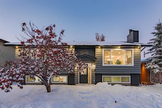 Main Photo: 63 Bermondsey Crescent NW in Calgary: Beddington Heights Detached for sale : MLS®# A2011397