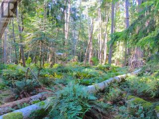 Photo 4: 1334 VANCOUVER BLVD in Savary Island: Vacant Land for sale : MLS®# 17490