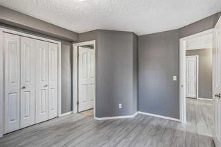 Photo 11: 216 1000 Citadel Meadow Point NW in Calgary: Citadel Apartment for sale : MLS®# A2070515