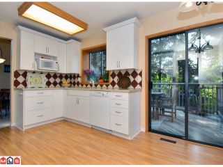Photo 18: 18157 21A Avenue in Surrey: Hazelmere House for sale in "Redwood Park" (South Surrey White Rock)  : MLS®# F1013133