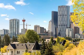 Photo 34: 201 1010 Centre Avenue NE in Calgary: Bridgeland/Riverside Apartment for sale : MLS®# A1173804