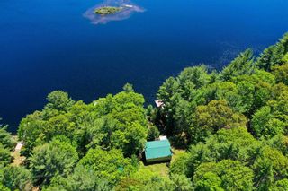 Photo 18: 1282 Woa Anstruther Lake View in North Kawartha: Rural North Kawartha House (Bungalow) for sale : MLS®# X5255516