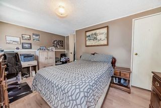 Photo 18: 173 Erin Woods Circle SE in Calgary: Erin Woods Detached for sale : MLS®# A2120375