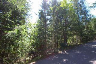 Photo 8: Lot 33 4498 Squilax Anglemont Hwy in Scotch Creek: Land Only for sale : MLS®# 10235084