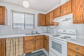 Photo 7: 533 Aboyne Crescent NE in Calgary: Abbeydale Semi Detached (Half Duplex) for sale : MLS®# A2028158
