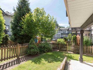Photo 3: 76 19932 70 Avenue in Langley: Willoughby Heights Townhouse for sale in "Summerwood" : MLS®# R2380626