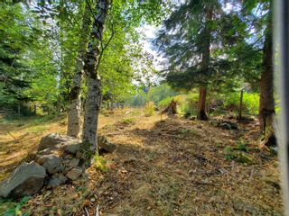 Photo 39: 3080 Michelson Rd in Sooke: Sk Otter Point House for sale : MLS®# 930324