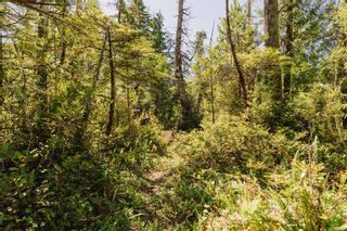 Photo 14: LOT 4 Hawkes Rd in Ucluelet: PA Ucluelet Land for sale (Port Alberni)  : MLS®# 911987