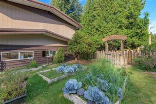 Photo 35: 4212 196B Street in Langley: Brookswood Langley House for sale in "Brookswood" : MLS®# R2757329