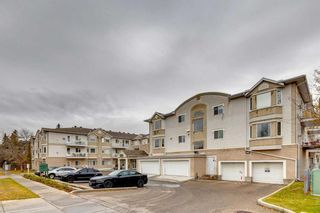 Photo 39: 217 2850 51 Street SW in Calgary: Glenbrook Apartment for sale : MLS®# A2087080