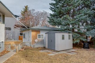 Photo 34: 81 Carmangay Crescent NW in Calgary: Collingwood Detached for sale : MLS®# A1195999