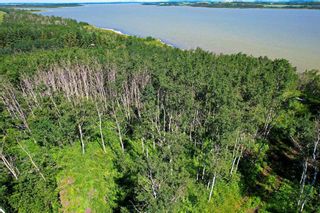 Photo 21: Lakeview Drive: Rural Camrose County Residential Land for sale : MLS®# A2129369