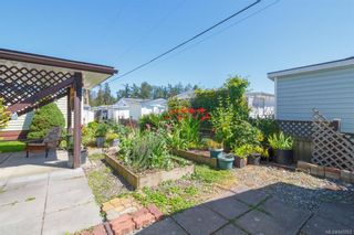 Photo 33: 28 7701 Central Saanich Rd in Central Saanich: CS Hawthorne Manufactured Home for sale : MLS®# 845563