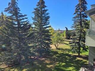 Photo 27: 1324 60 Glamis Drive SW in Calgary: Glamorgan Apartment for sale : MLS®# A2002664