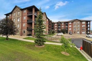 Photo 1: 203 69 Ironstone Drive: Red Deer Apartment for sale : MLS®# A2049255