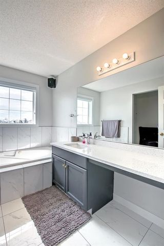 Photo 29: 14 Coral Springs Gardens NE in Calgary: Coral Springs Detached for sale : MLS®# A1224849