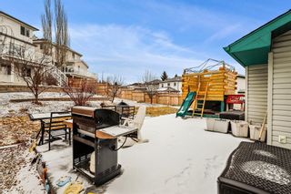 Photo 26: 193 Tuscarora Circle NW in Calgary: Tuscany Detached for sale : MLS®# A1183960