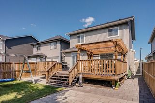 Photo 44: 462 WILLIAMSTOWN Green NW: Airdrie Detached for sale : MLS®# C4264468