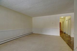 Photo 9: 215 8235 ELBOW Drive SW in Calgary: Chinook Park Apartment for sale : MLS®# A2080929