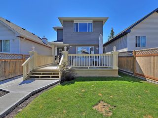Photo 42: 310 Bridlewood Court SW in Calgary: Bridlewood Detached for sale : MLS®# A1252900