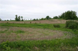 Photo 13: Lot 19 Con 2 in Amaranth: Rural Amaranth Property for sale : MLS®# X4152768