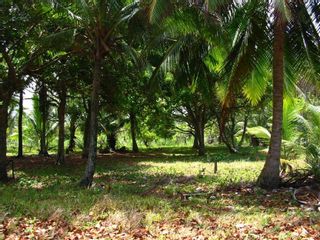 Photo 2: Titled Caribbean Lot for Sale in Panama